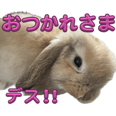sakurako_20231121205031