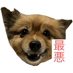 rinoha28_20231121192923