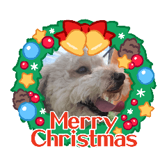 asikubiguneo_20231121214218