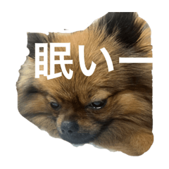 taki_20231122140956