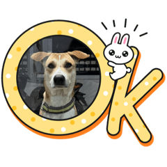 Tunchanok_20231122100105