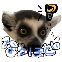 natsumi_20231122020637