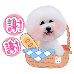 Mia萌萌噠3