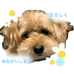 yuka_20231122010034