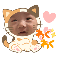 kichi_20231122171732