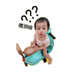 陳米包說什麼！