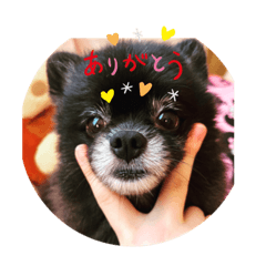 Nao_20231122174932
