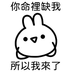白白的兔兔11