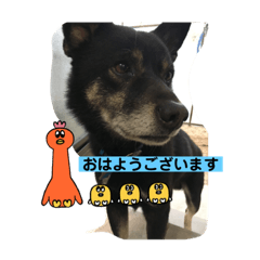 hanamama_20231122214729