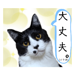 ガブリエルその14 - LINE スタンプ | LINE STORE ガブリエルその14 - LINE スタンプ | LINE STORE