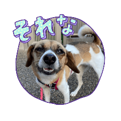 suzu_20231123144717