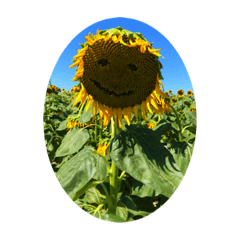 k_eri_ko_20231122230255