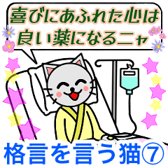 格言を言う猫⑦ ★必要な価値観★