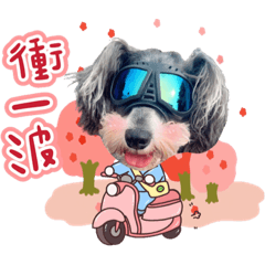 牛奶妹公主