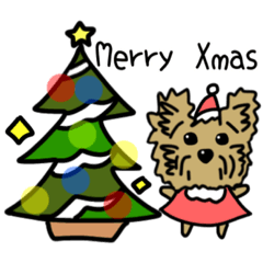 ほんわか犬のクリスマス♡ヨークシャテリア