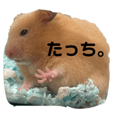 Yuka_20231123161108