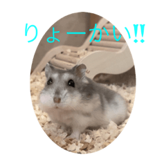 moo_20231123171406