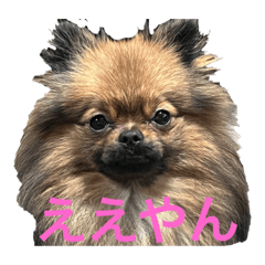 taki_20231123172022