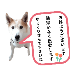 tomomi_20231123145754
