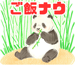 Panda during a meal