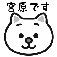 Miyahara cat stickers