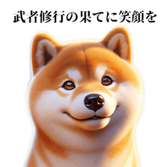 Shiba Inu Biyori 4