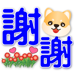 Cute Shiba -Practical phrases-big font