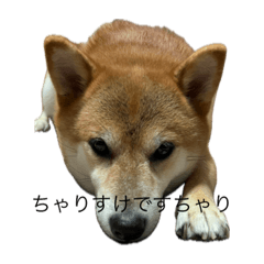 KbEbX3zAW24nx7AS_20231124000103