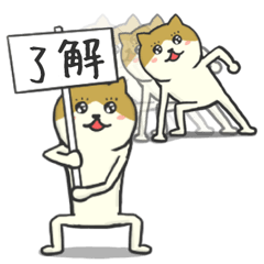 Japanese cat fun stamp