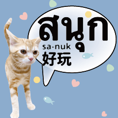 Orange cat in Chinese and Thai
