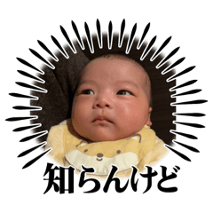 nanamin_20231124175842
