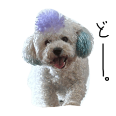 purinzirou