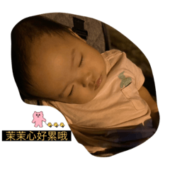 茉莉花style