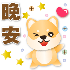 Cute Shiba -common phrases*.*