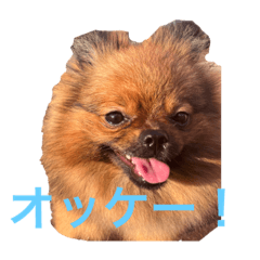 taki_20231124211447