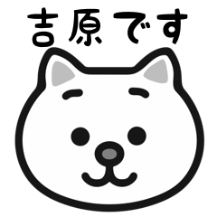 Yoshihara cat stickers