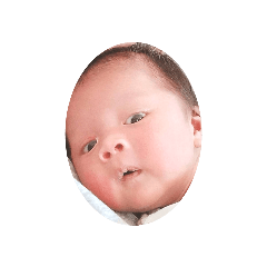 sonej