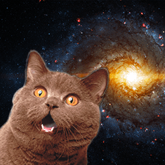 This is Space Cat