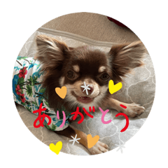 nao_20231125050012