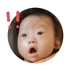 yunimaru_20231125001437