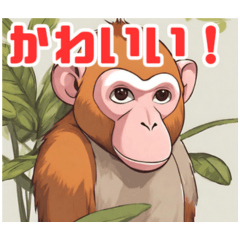 Cute animals, the Japanese macaques