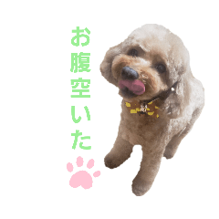 nao_20231125122241