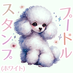 White Toypoodle Stickers A