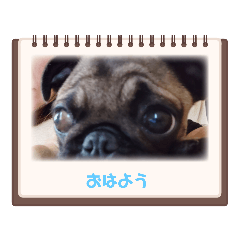 hinano.chan_20231125115313