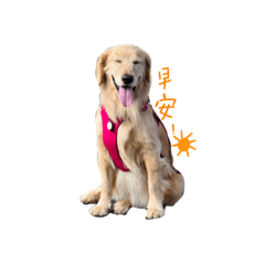 Duffy的表情包3