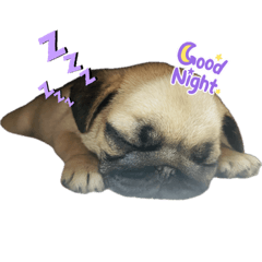 Sakura_20231125190644