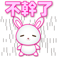 Practical Phrases- Cute White Rabbit