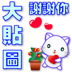 big sticker-useful phrases-Q white cat