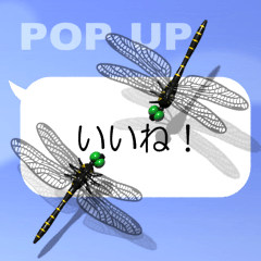 Dragonfly (pop-up)
