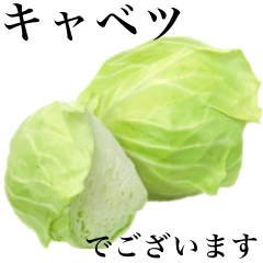 I love cabbage 3